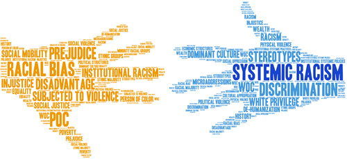 By visualizing your institution’s system, you can better visualize the systemic racism in it—and then take steps to combat it