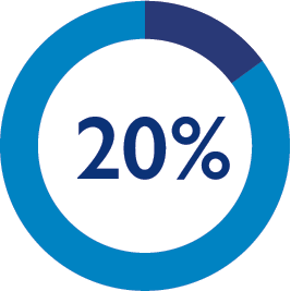 20 Percent