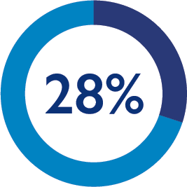 28 Percent